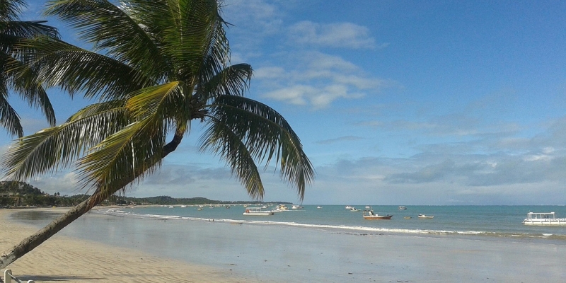 O que fazer em Maragogi? 10 dicas incríveis 